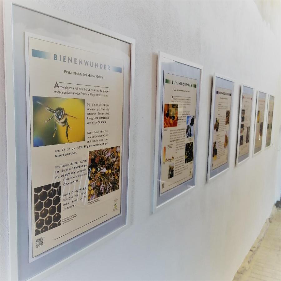 Gaestequartier Mittendrin In Coswig  Εξωτερικό φωτογραφία